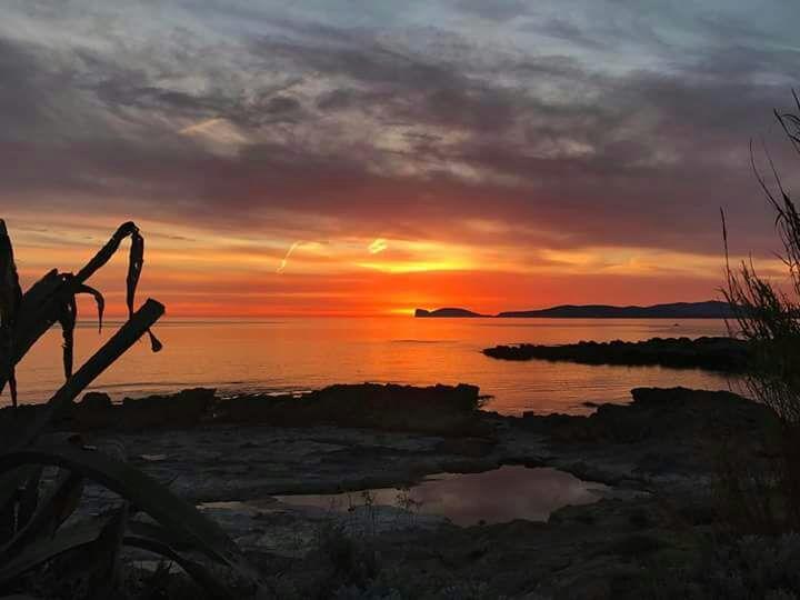 알게로 Il Tramonto Balaguer 아파트 외부 사진